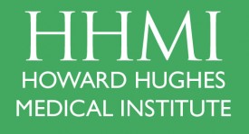 hhmi hhmi